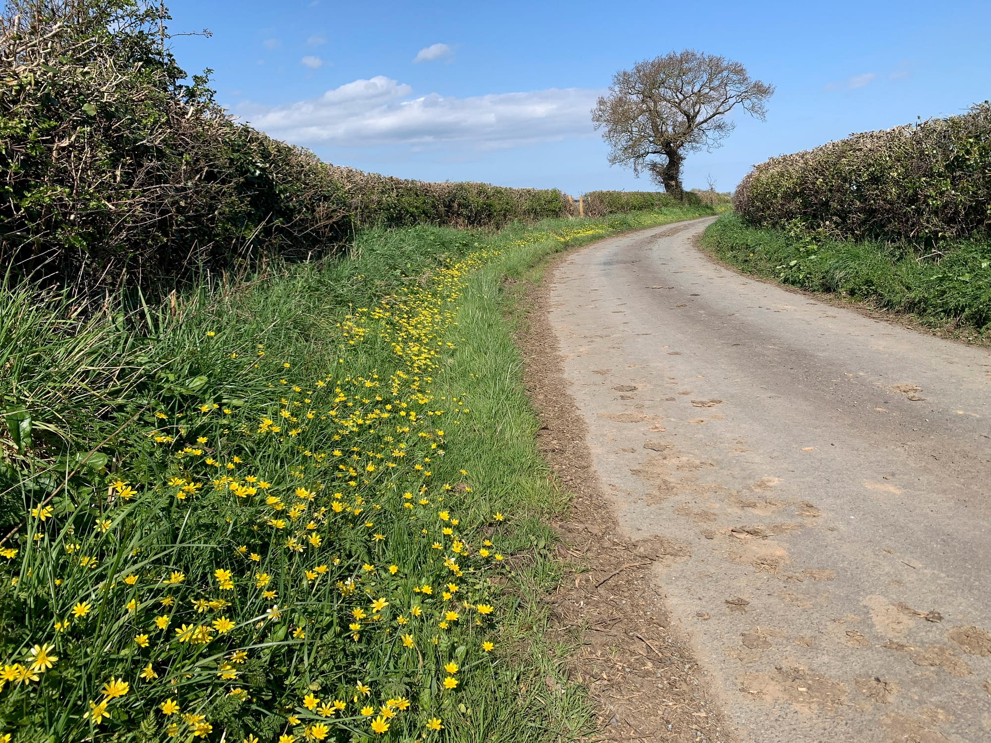 Rossett Heritage Walks Rossett Village